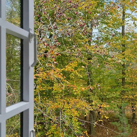 Forest House Near Ahl